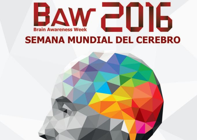 Actividad: La Semana del Cerebro en el Instituto Cajal