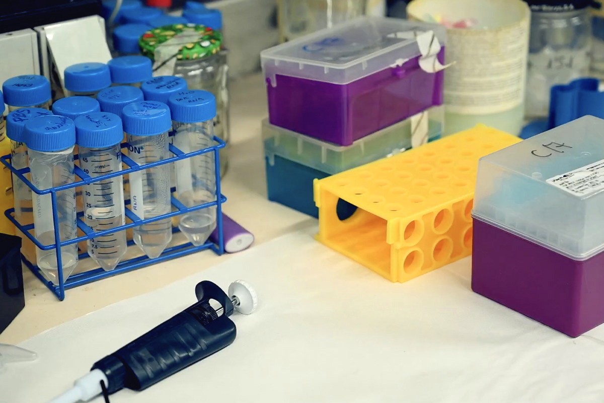 laboratorio-001