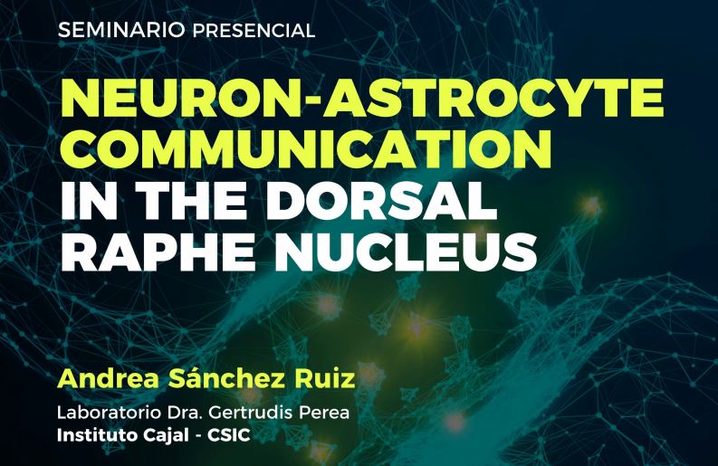 Seminario: Neuron-astrocyte communication in the dorsal raphe nucleus