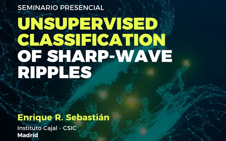 Seminario: Unsupervised classification of sharp-wave ripples