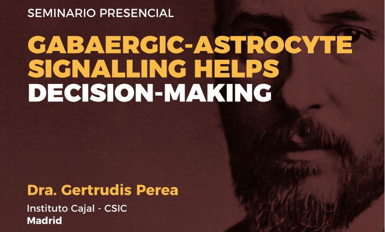 Seminario: GABAergic-astrocyte signalling helps decision-making