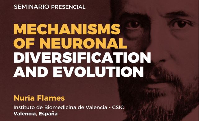 Seminario: Mechanisms of neuronal diversification and evolution