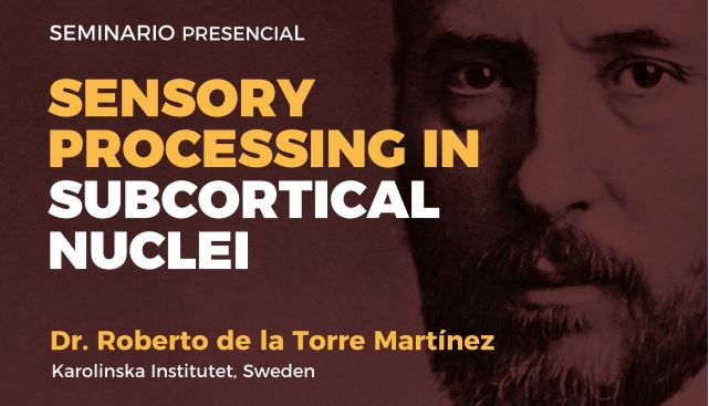 Seminario: Sensory processing in subcortical nuclei