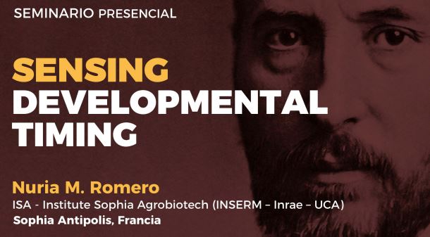 Seminario: Sensing Developmental Timing